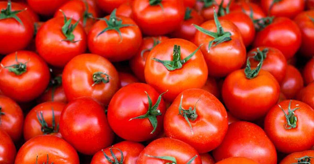 Tomatoes - The Top 4 Best Raw Foods For Increased Health